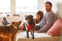 Manu Agah Photography