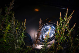 Manu Agah Photography