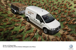 Manu Agah Photography