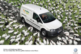 Manu Agah Photography