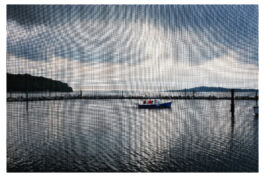 Manu Agah Photography