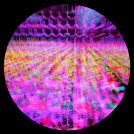 Manu Agah Photography