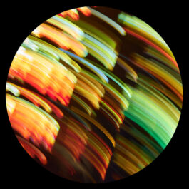 Manu Agah Photography