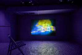 Manu Agah Photography