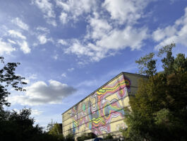 Manu Agah Photography