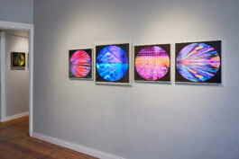 Manu Agah Photography