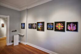 Manu Agah Photography